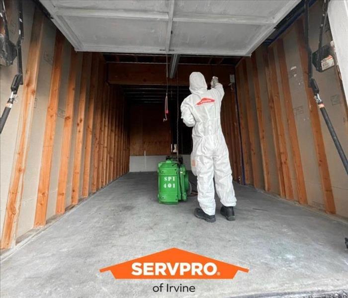 Technician Mold Remediation