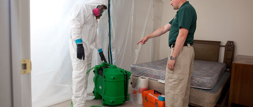 Irvine, CA mold removal process